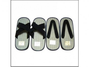 Zori Sandal, model X